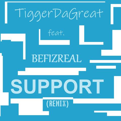 Support (feat. BefizReaL)