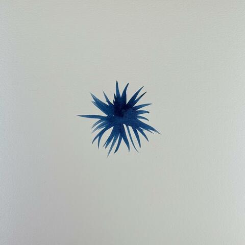 The Sky Where We Cried