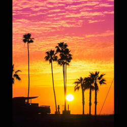 Vibe Voyage (slowed + reverb)