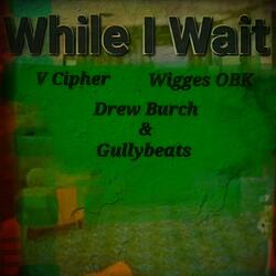 While I Wait (feat. V Cipher, Drew Burch & Gully Beats)