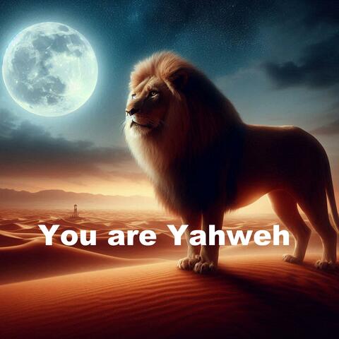 You are Yahweh (Prayer Music)
