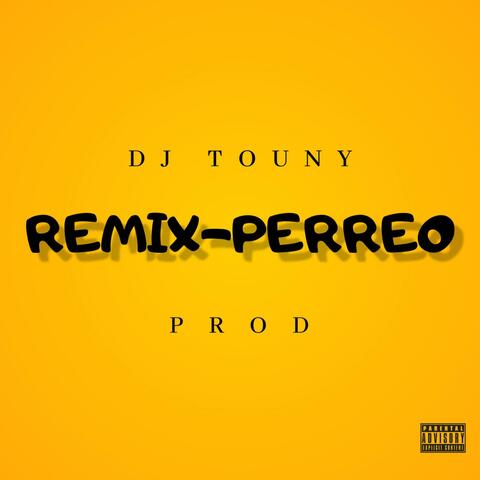 PERREO REMIXER CALLEJERO