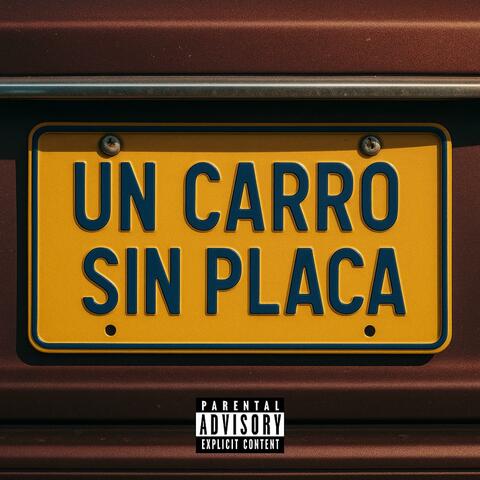 Carro sin placa