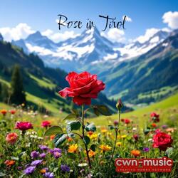 Rose in Tirol