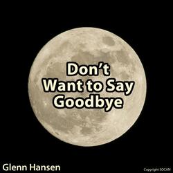 Don't Want to Say Goodbye (Moon Beams)