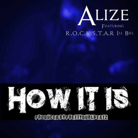 How It Is (feat. R.O.C.K.S.T.A.R. Ill Bill & Alize) [Radio Edit]