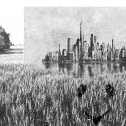 J'veux pas d'un rêve américain