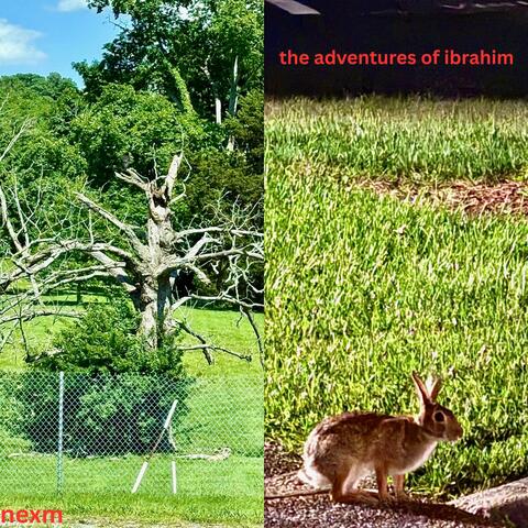 the adventures of ibrahim