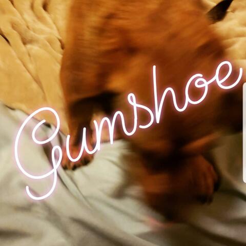 Gumshoe, or the Luck of Job