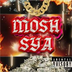 Ride Out (feat. MOSHSYA)