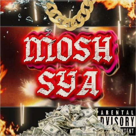 Ride Out (feat. MOSHSYA)