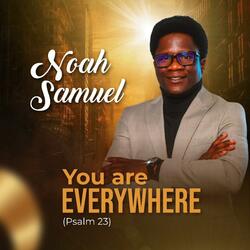 You Are Everywhere: Psalm 23