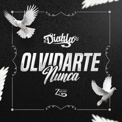 Olvidarte Nunca (Instrumental)