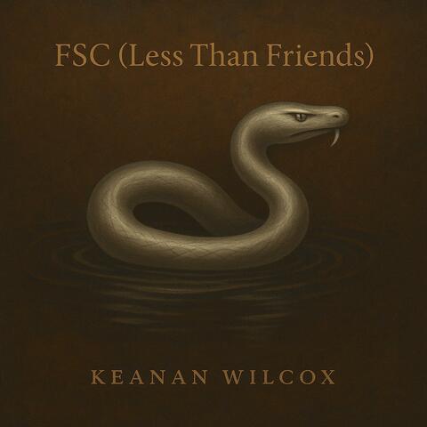 FSC (Less Than Friends)