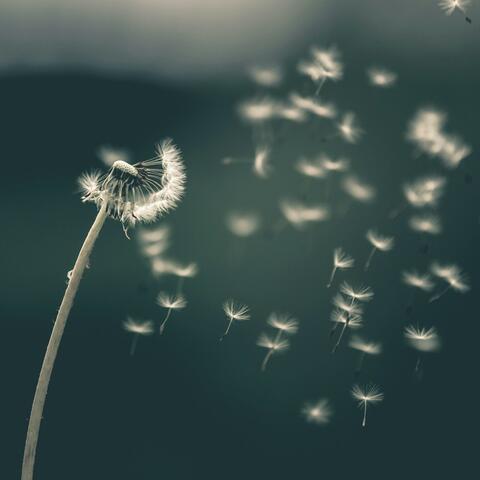 Piano K-Pop Album #23