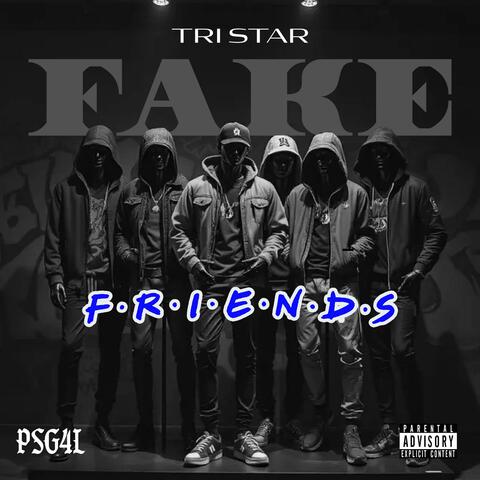 FAKE FRIENDS