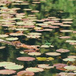 Nothing Goes as Planned