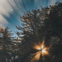 there and back again (Arthurs Song)