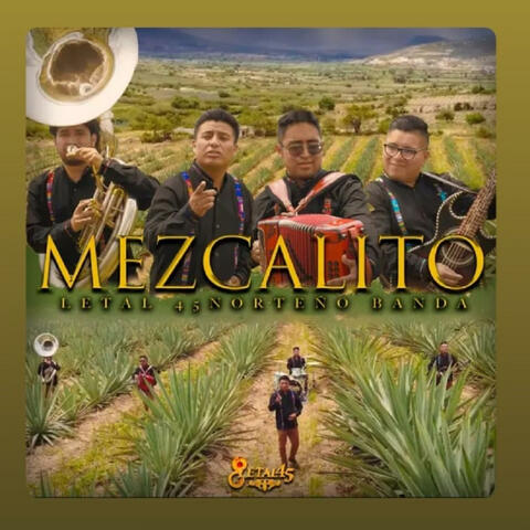 Mezcalito