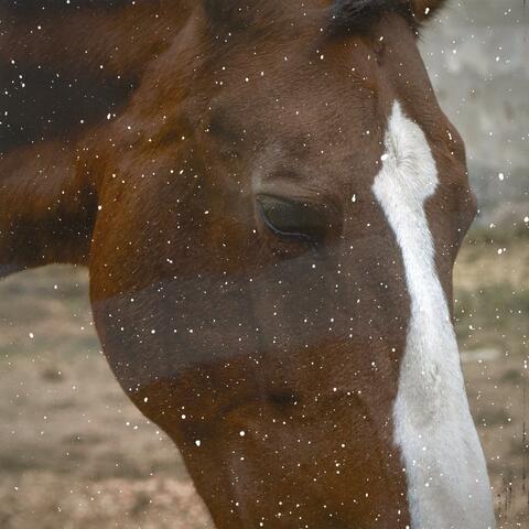 See You When You're Sorry Again