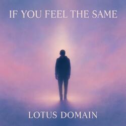 If You Feel The Same