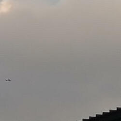 SummerSun-theory 11/24