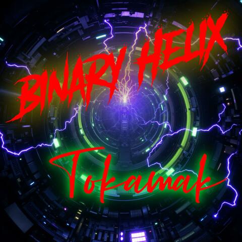 Tokamak