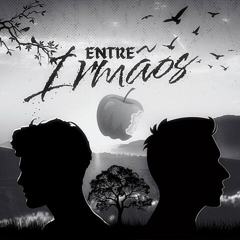 Entre Irmãos
