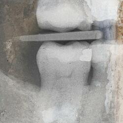 Delusion Two