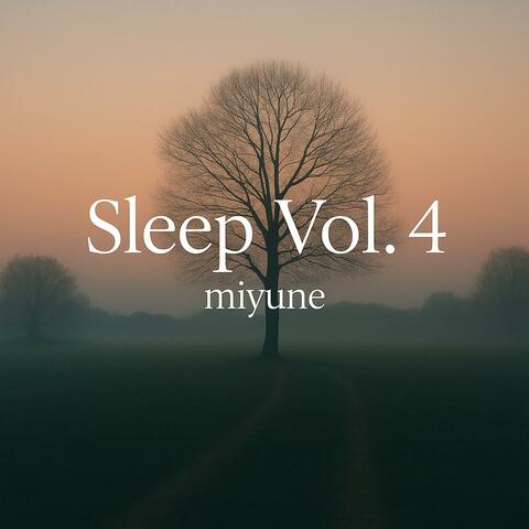 Sleep, Vol. 4