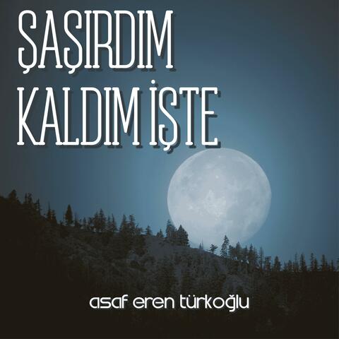Yavuz Bülen Bâkiler - Şaşırdım Kaldım İşte