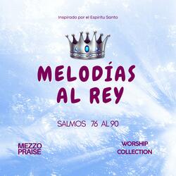 Salmo 88 (Aún en la Oscuridad)