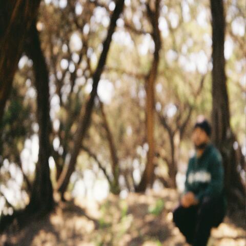 I PROMISE U I'M FINE (instrumental version)