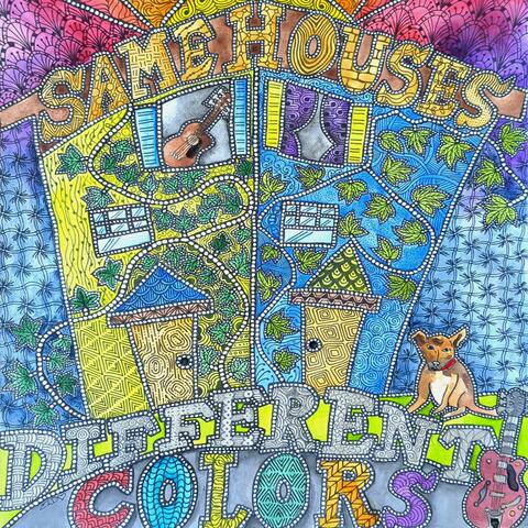 Same Houses Different Colors
