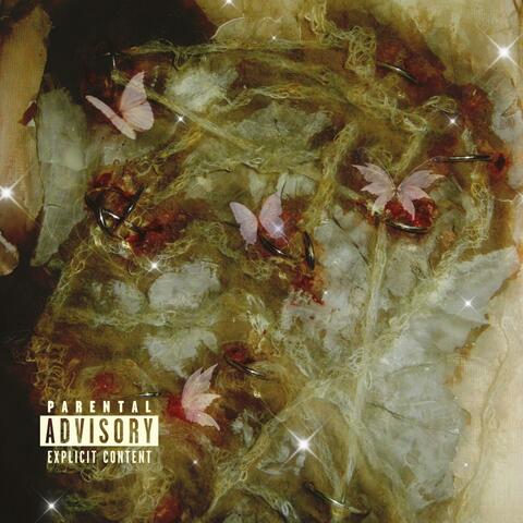 BUTTERFLIES GON HEAL ME