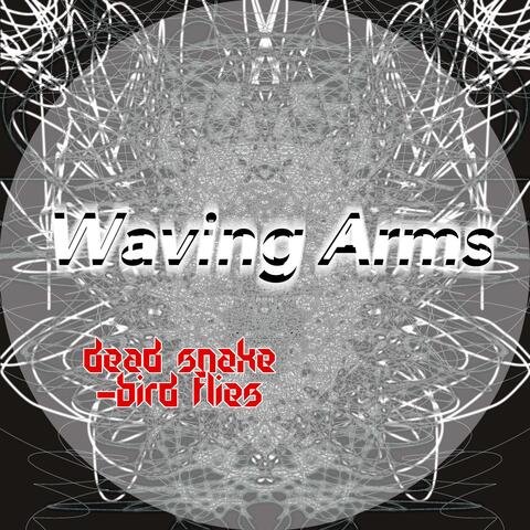 Waving Arms