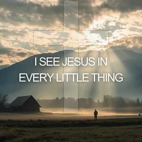 I See Jesus In Every Little Thing