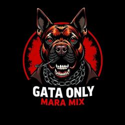 GATA_ONLY_MARA_,MIX (feat. Dj lastborn)