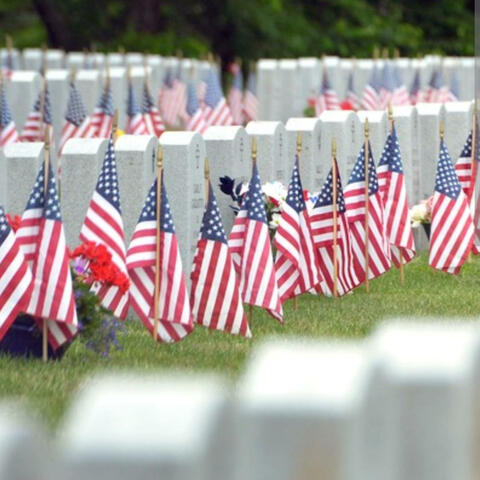 In Their Honor