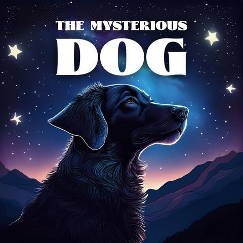 The Mysterious Dog