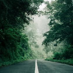 Stillness