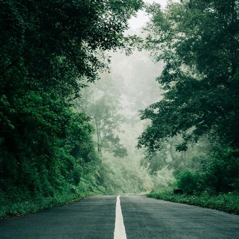 Journey
