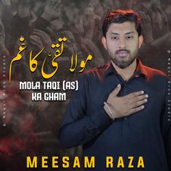 29 Zilqad Noha Shahadat Imam Taqi (as) | Har Muttaqi Manata Hai Mola Taqi Ka Gham