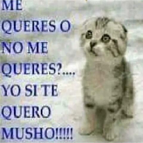 sugerencias inútiles