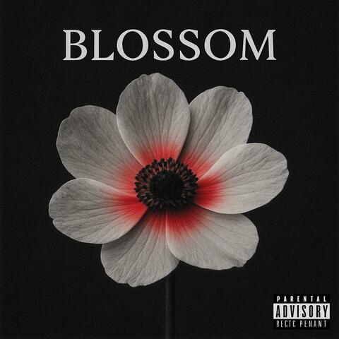 Blossom