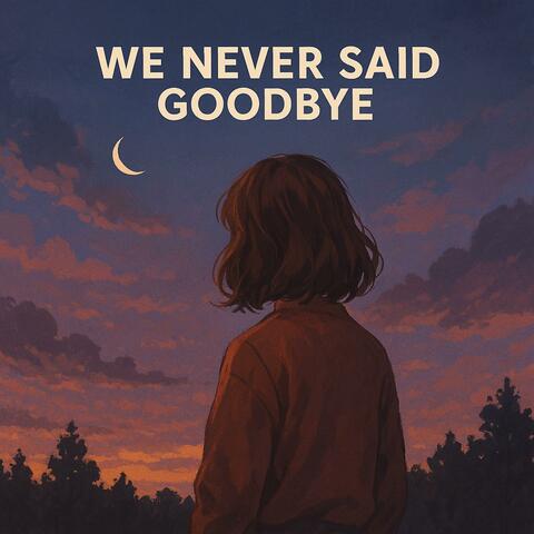 we never said goodbye