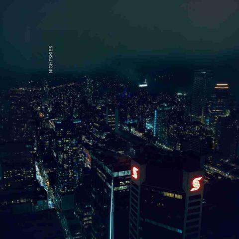 NIGHT SKIES