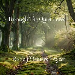 Through The Quiet Forest
