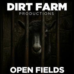 Open Fields