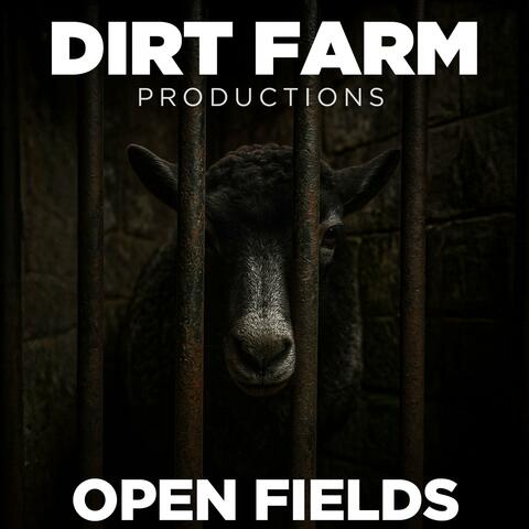 Open Fields
